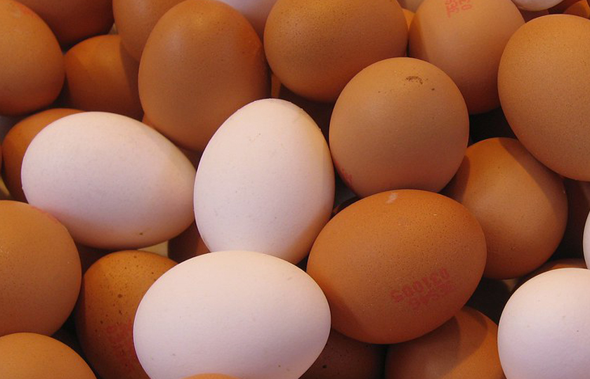 अण्डाको माग र मूल्य बढ्यो
