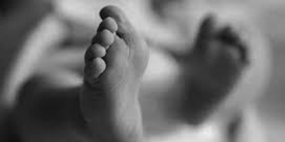 भिरबाट लडेर बैतडीमा तीन जनाको मृत्यु