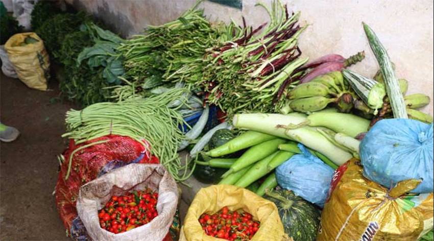 तरकारीले मूल्य पाए पछि किसान खुशी