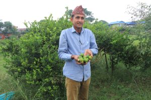 टेलिभिजन कार्यक्रबाट प्रेरित भएर कागती खेती