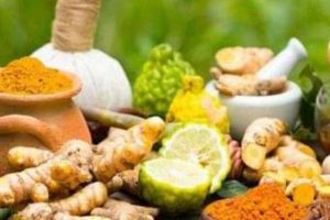 पाल्पामा आयुर्वेद सेवा लिने बढ्दै