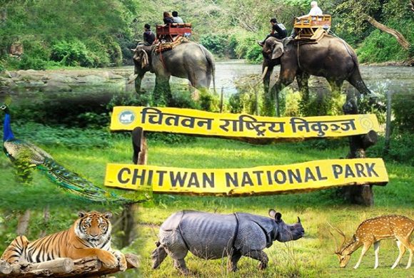 चितवन राष्ट्रिय निकुञ्जमा इ–टिकटिङ सुरु