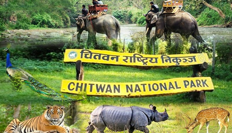 चितवन राष्ट्रिय निकुञ्जमा इ–टिकटिङ सुरु