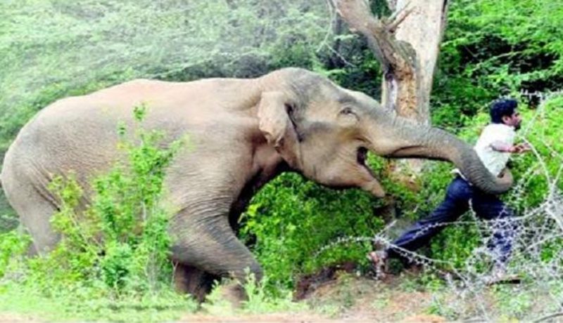 दाह्रा काटिएको ध्रुर्वे निकुञ्जभित्रैः १०÷१० मिनेटमा अनुगमन