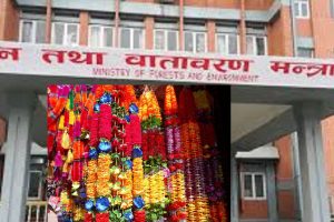 प्लास्टिकबाट बनेका फूलगुच्छा, माला प्रतिवन्ध !