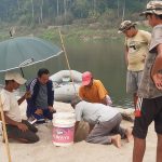 राप्ती नदीमा भेटियो १७ घडियालको गुँड