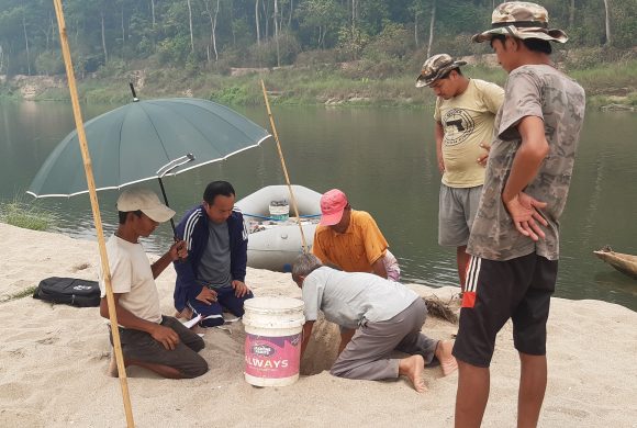 राप्ती नदीमा भेटियो १७ घडियालको गुँड