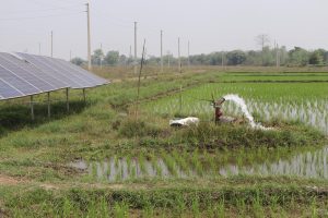 भूमिगत जल सिँचाइ आयोजना अपुरा काममा केन्द्रित
