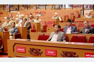 राष्ट्रियसभा उपाध्यक्षको निर्वाचन हुँदै