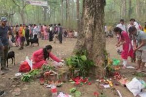 चैत ५ गतेदेखि १९ सम्म कसरास्थित विक्रमबाबा पूजा