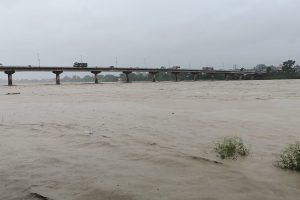 नारायणी पुलबाट एक यूवक हामफाले