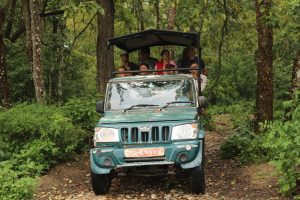 पर्यटन प्रवरद्धन गर्न जनकौली वनमा जिप सफारी