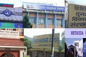 सार्वजनिक संस्थानलाई दुई समूहमा वर्गीकरण गरिने