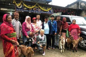 बिपन्नलाई बाख्राको पाठी