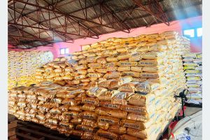 रैथाने बाली संरक्षणमा प्रदेश सरकार