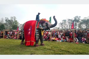 हात्तीका विविध गतिविधिसहित चितवन हात्ती तथा पर्यटन महोत्सव सम्पन्न