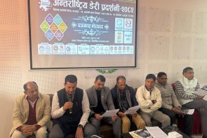 डेरी एक्स्पोको मुख्य आकर्षक गाई प्रदर्शनी