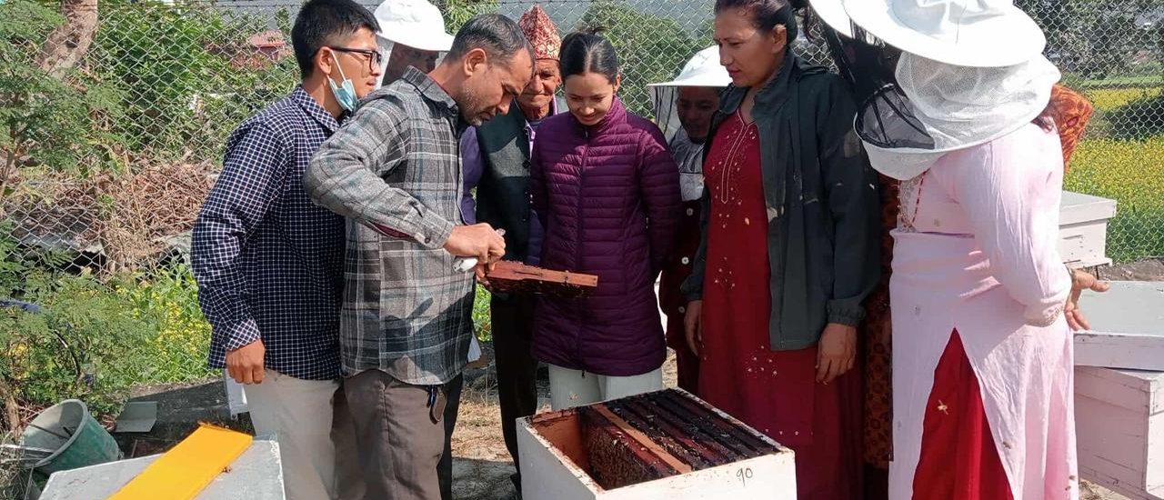 मौरीपालक किसानलाई आईपिएम पाठशाला