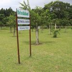 पर्यटकीय आकर्षणको केन्द्र बन्दै वृन्दावन वनस्पति उद्यान