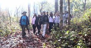 बरण्डाभार जङ्गल क्षेत्रमा हाइकिङ र सन्ध्याकालीन सफारीको तयारी