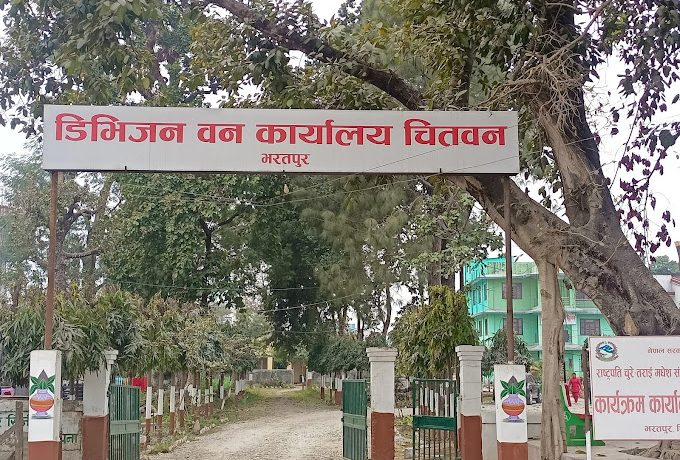 नदी किनारमा थुप्रिएका काठको निगरानी र जफत सुरु