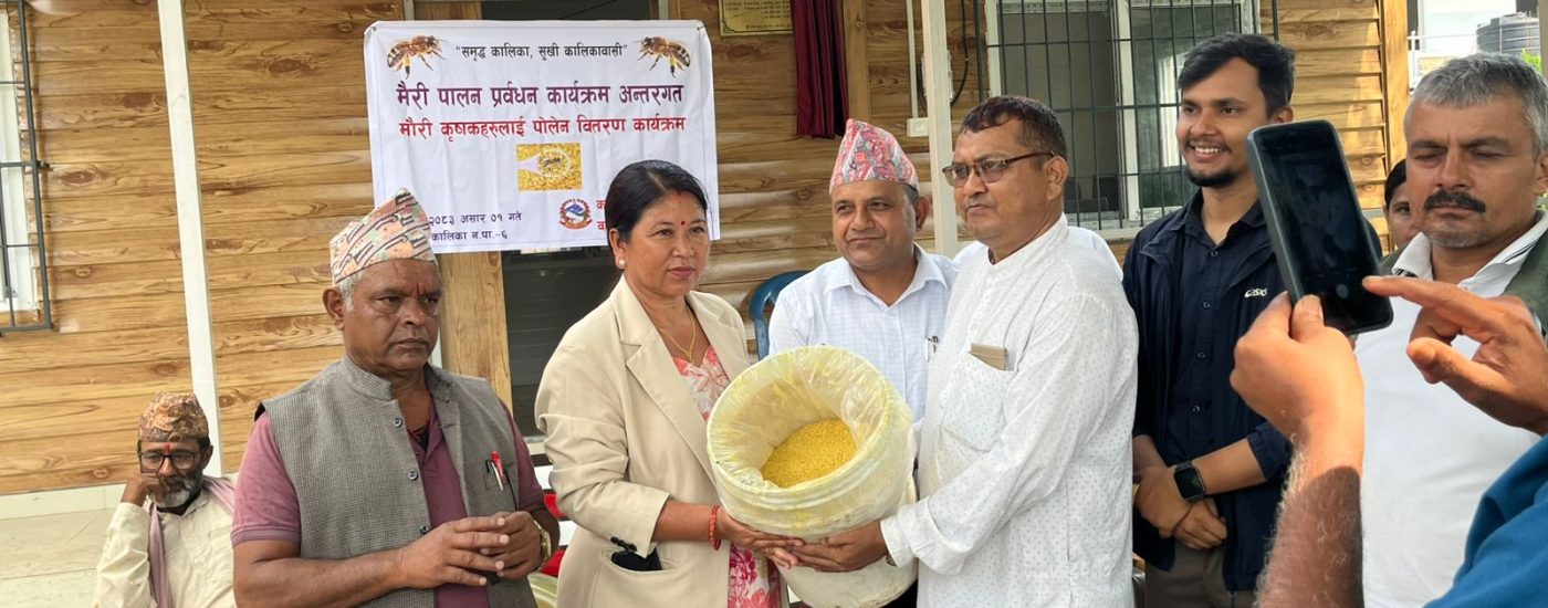 मौरीपालक किसानलाई परागकण बितरण