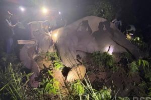 ध्रुवे’लाई ‘रेडियो कलर’ जडान गरेर छाडियो
