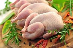 कुखुराको मासु र अण्डा पकाएर खान सुरक्षित छः विज्ञ