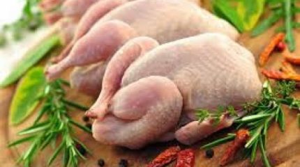 कुखुराको मासु र अण्डा पकाएर खान सुरक्षित छः विज्ञ
