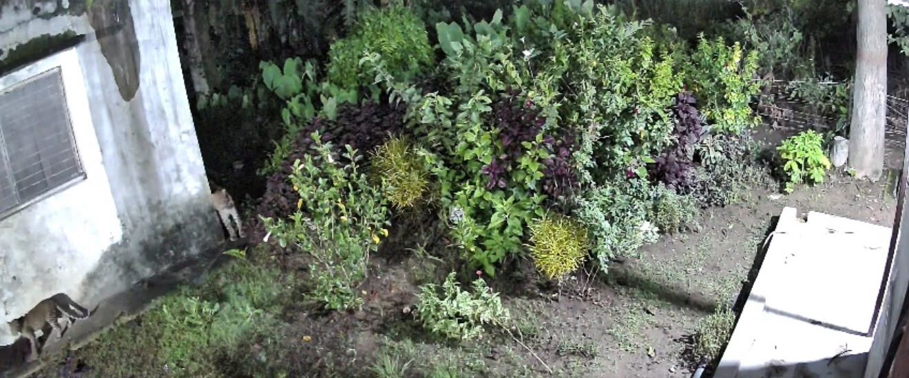 चितुवा बस्तीमाः स्थानीयवासीमा त्रास